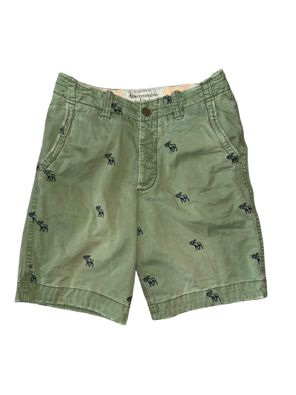 Abercrombie and Fitch shorts men’s 30